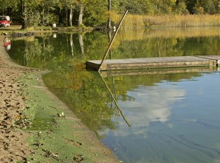 Vårdfiskena på sammanlagt 7,2 ton under hösten 2012 och våren 2013 minskade mängden bottenlevande och djurplanktonätande fiskar.