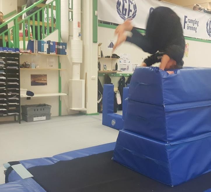 3 Trampolin Här har vi utgått från de traditionella trampolin-övningarna.