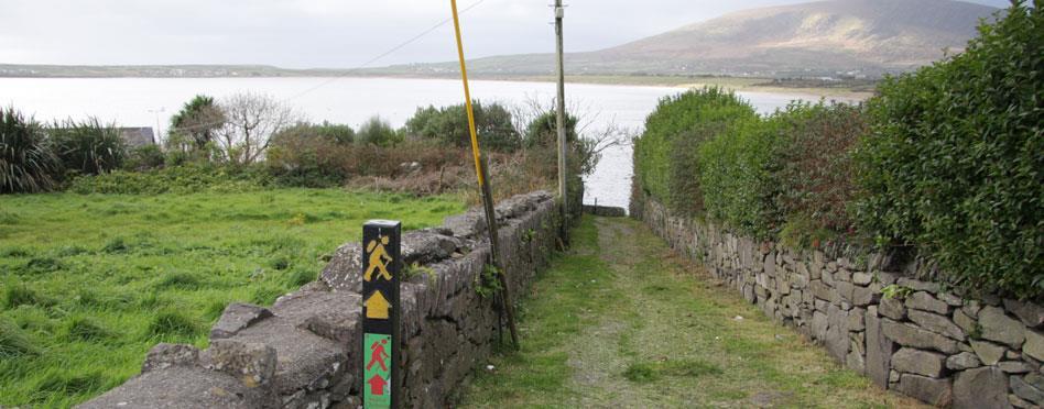 Dingle Way, Camp - Cloghane, 6 nätter 1(6) Vandra på Irland Coumeenole Beach, Dingle Dingle Way, 6 nätter Camp Cloghane, 5 vandringsdagar Den 65 km långa halvön Dingle ligger cirka 305 km sydväst om