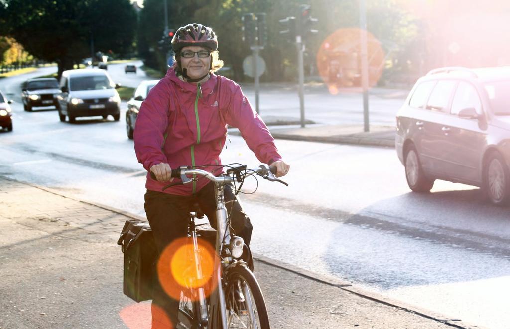 Inköpt drivmedel Fordonsparkens sammansättning Gasfordon 0,5% Etanolfordon 15% Bensinfordon 1%