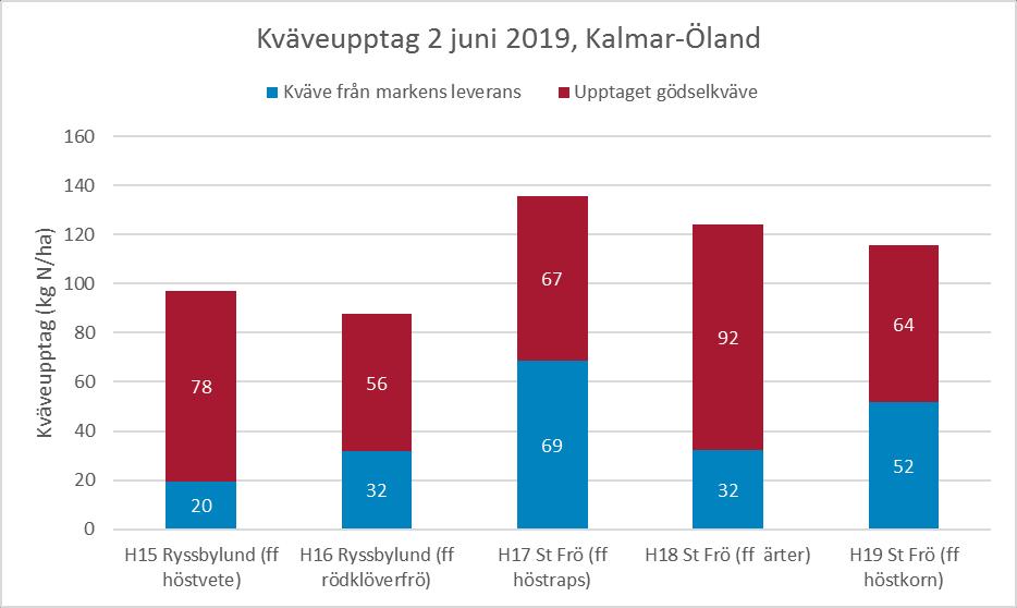 Upptaget i nollrutorna i Kalmar län ligger ovanligt lågt Vid senaste mätningen den 2 juni var höstvetet i DC 41-47.