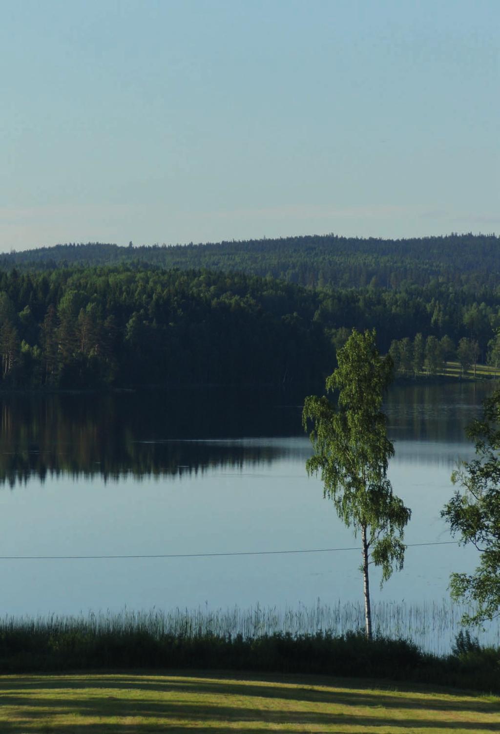 Sommarkvällar med Musik LÖRDAGAR KL 19:00 i