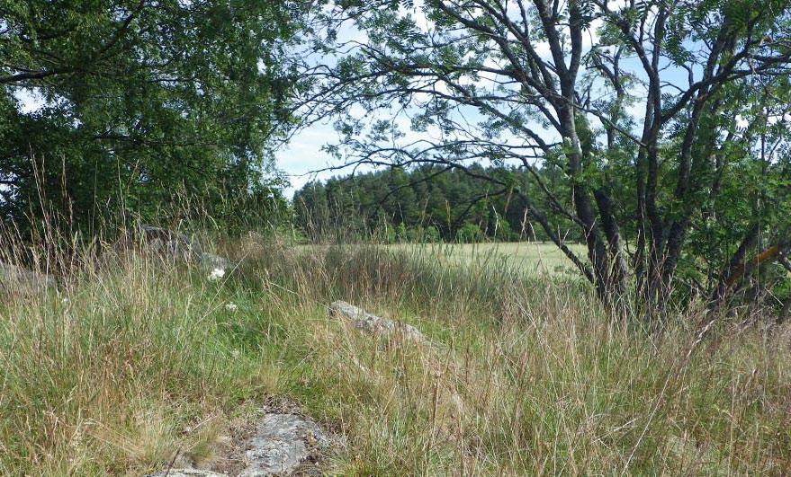 Fig. 3. Gräsmark med höga naturvärden i Slagsta. Foto: Karolin Ring.