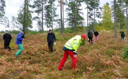 * Hjälp till att leta! Hjälp till att leta efter övriga spelares bollar. MAX TRE minuter. Tag tiden! MEN, om Ni inte hittar bollen inom 30 sek. SKALL ni släppa igenom efterföljande grupp.