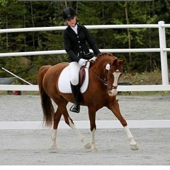 LÄGER 10 DAGLÄGER PONNY STEG 1 VECKA 33, 15-16/8, 09.00-13.00, MICHAELA HELLSTRÖM/MALIN ARVIDSSON 2 dagars dagläger för dig som rider i steg 1 och kan skritta och trava utan ledare.