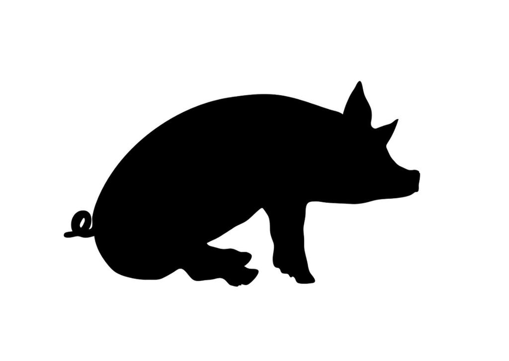 Fakulteten för veterinärmedicin och husdjursvetenskap Institutionen för biomedicin och veterinär folkhälsovetenskap