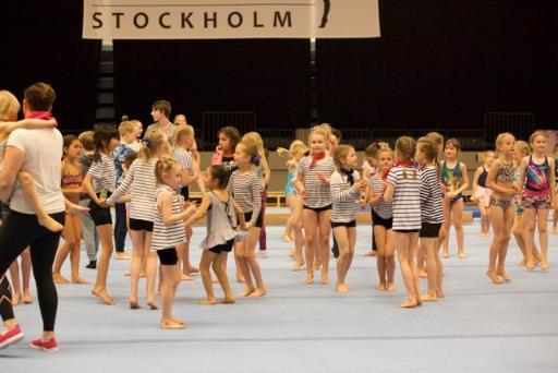 Samtidigt denna helg var vi också arrangörer för Riksmästerskapen, Riksfinalen samt en uttagningstävling till Junior NM.