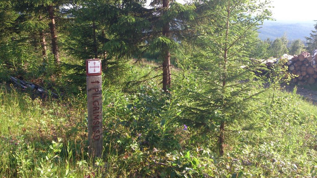 Det har konstaterats att de gamla färdvägarna och pilgrimstigarna kom söderifrån, dels kom stigarna från Skog, som ligger i den forna Ödmården från gränsen mellan Gästrikland och Hälsingland, dels