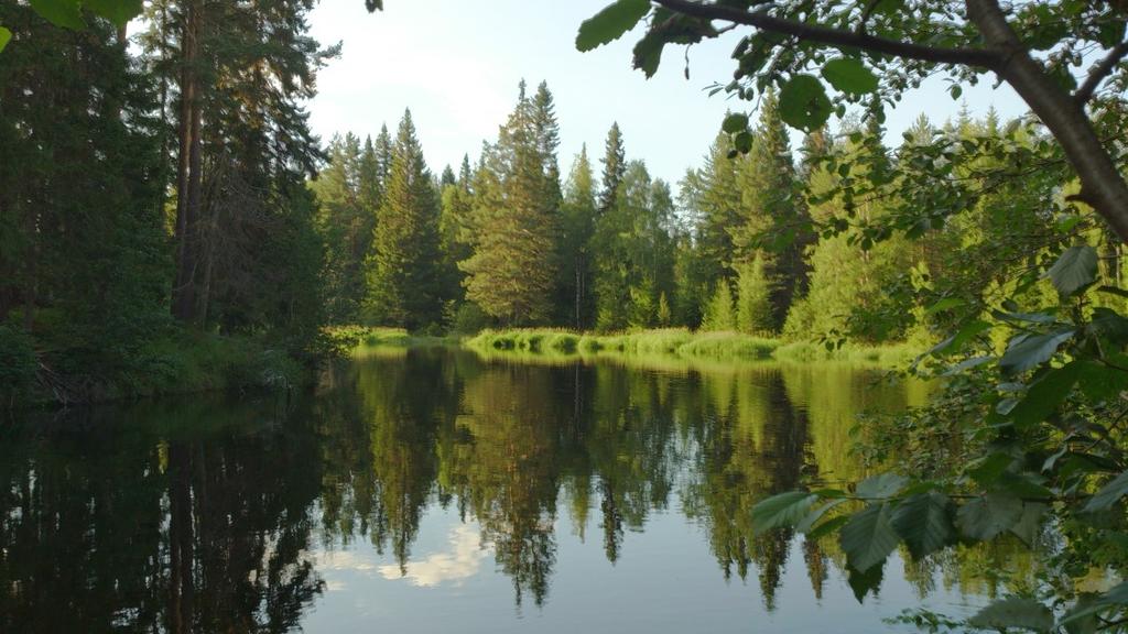 10 km lämnar leden skogsbilvägen och en pilgrimsstolpe vänster om vägen leder vandraren in på en stig.