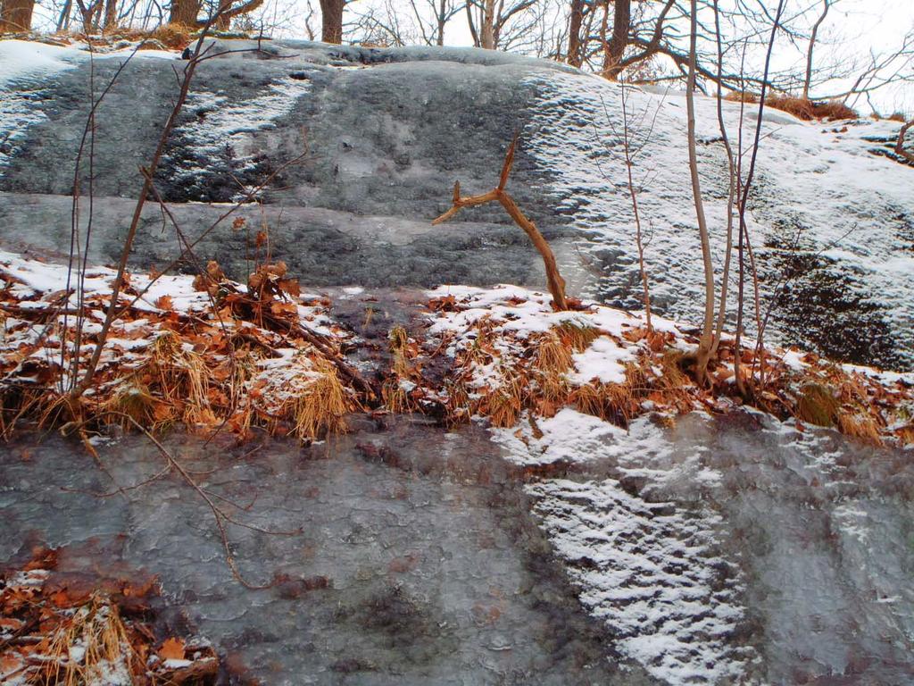 Detaljplan Fjällb Park Bergteknisk utredning, radnundersökning 14 (18) Ft 8.