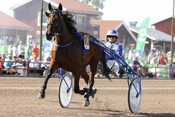 månadens häst juni2016 Evasion Boko Foto: Hanold/Foto-Mike Foto:Micke Gustafsson/Foto-Mike Sto 5 år e. From Above u. Vision Boko (US) ue.