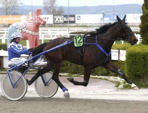 Igår fick hon även full utdelning då hon tog en imponerande seger på Rättvikstravet. Trots att femåringen fick gå utvändigt utan rygg i princip hela vägen kunde hon avgöra till en säker seger.