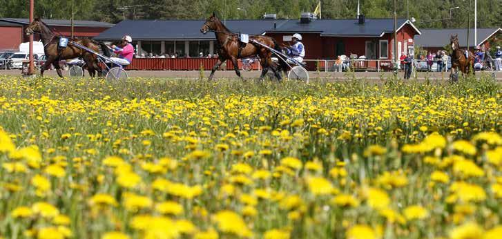 Johnny B Karlsson fick förtroendet bakom Kajsa Fricks fyraåring som spelades till favorit och de tog direkt hand om ledningen.