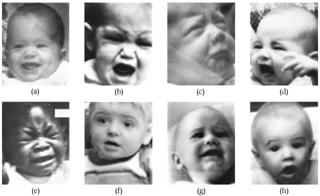 Emotionernas betydelse för utveckling Evolutionär adaptation Emotioner i motsats till logiskt