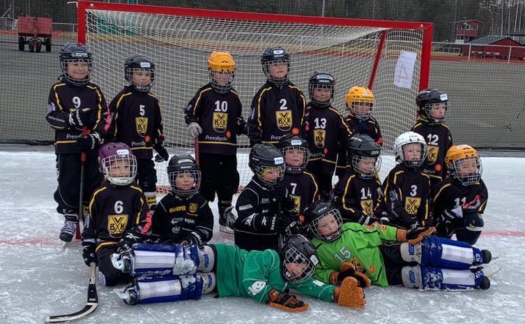 Bandykul Bandykul fokuserar på skridskoåkningen genom olika lekar, samt att huvudmålet är att få alla att tycka det är roligt med bandy.