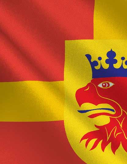 PROGRAM Kursiverade programpunkter gäller endast för Svenska Orgelsällskapets deltagare. FREDAG 10 MAJ 15.30 Malmö S:t Petri kyrka. Introduktion om orgeln med Carl Adam Landström. 16.