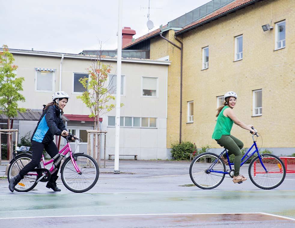 Flera olika delar Strategi med fem prioriterade insatsområden Flera regeringsuppdrag för ökad och säker