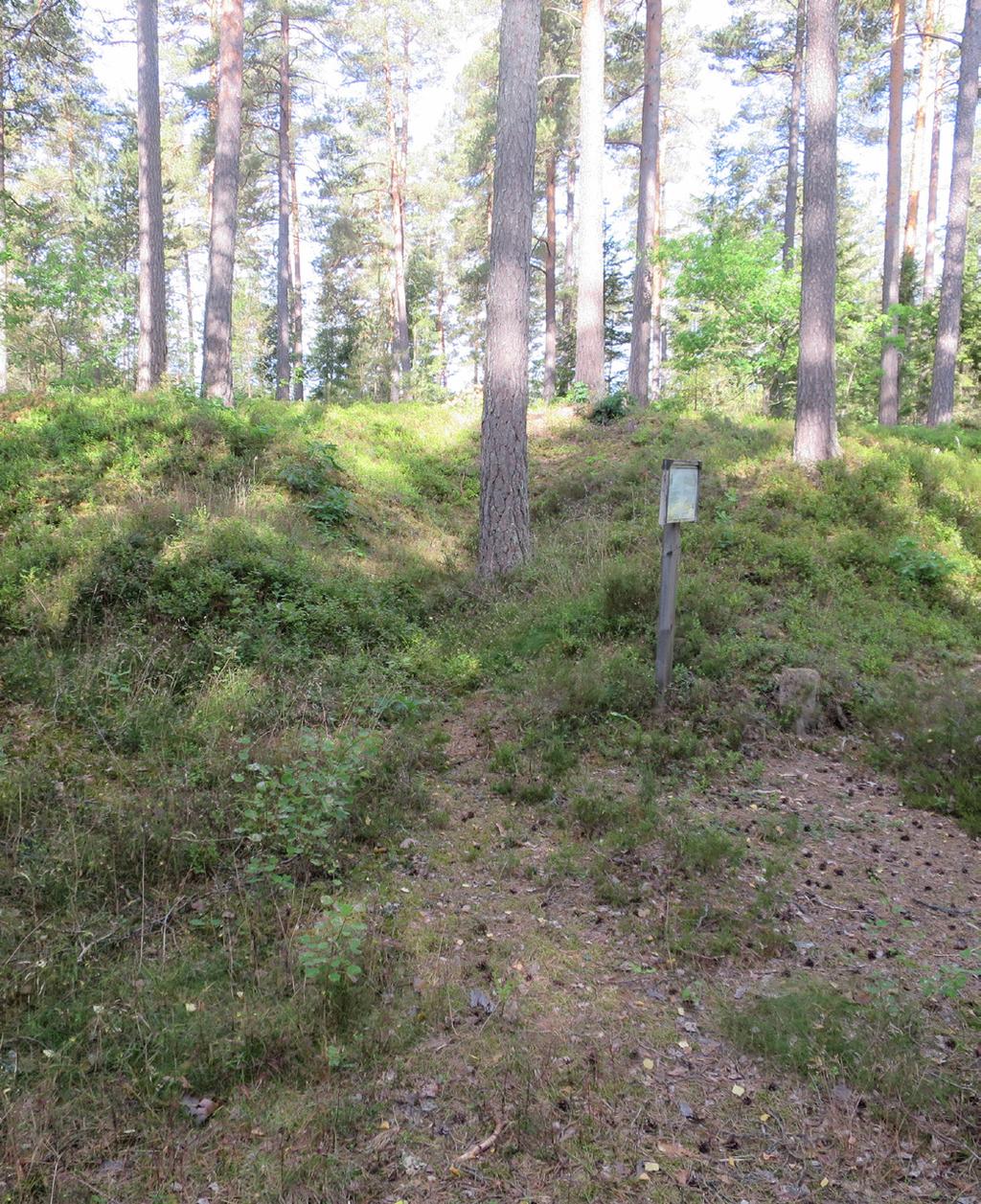 Dessa ger en aning om hur landskapet kan ha sett ut före 1900-talet, då det dominerades av lövskog.