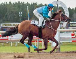 TIPS & RANK V & V TÄBY GALOPP BANKOD AV ULF ZEIDER Lopp - V- Lopp - V- / LD- Lopp - V- / LD- Lopp - V-, V-, Tr Lopp - V- Lopp - V-, V- Lopp 7 - V-, V- Lopp 8 - V-, V-, Tr Jimmy Mack Erroll 7 Paid Hot