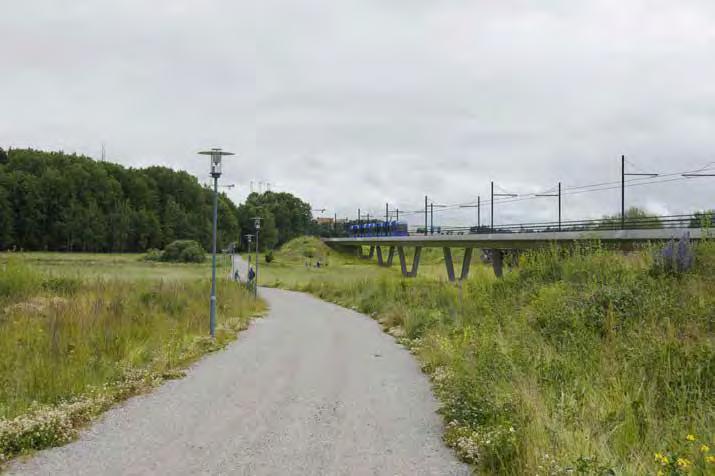 Hela området fyller en viktig funktion för den biologiska mångfalden genom att utgöra en spridningskorridor för växter och djur mellan centrala delar och landsbygden.