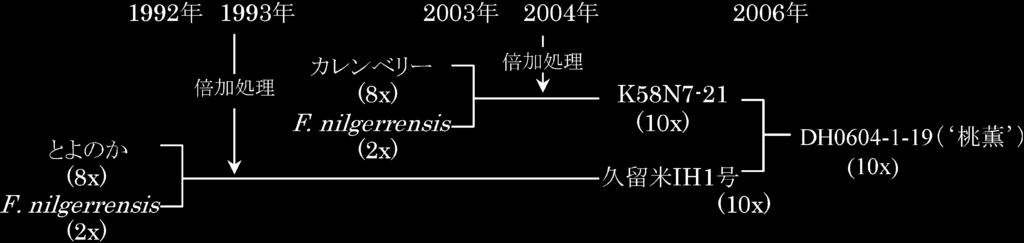 124 +*.+ +2 + + +* +*. F. nilgerrensis 1.