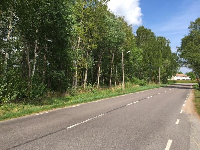 Bostäder Fler invånare Målgrupp: Framtida och nuvarande sjövikare. Behov/bakgrund: Utgår från - ökad nyinflyttning, möjlighet att bo kvar längre.