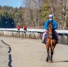 8 2100 Dirt-track START 20.35 KOMB TRIO VINNARE PLATS För 4-åriga och äldre hästar. Vikt: Aktuellt handicaptal plus 4 kg. 60.000 kr 30.000-15.000-7.200-4.800-3.000 H56 // BRONSHANDICAP Amatörryttare.