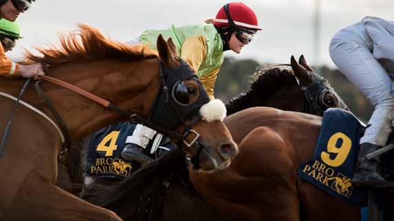 BRO PARK Tävlingarna arrangeras av Svensk Galopp www.svenskgalopp.se e-post info@svenskgalopp.