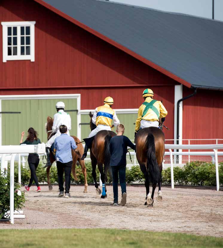 Dagens program 16.00 Grindarna öppnas 16.35 Kvallöpning 1 17.00 Kvallöpning 2 17.15 Tipsgenomgång från ledvolten 17.30 Lopp 1 MAIDENLÖPNING 18.00 Lopp 2, V5-1 JÄRNHANDICAP 18.