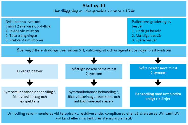 Urinvägsinfektioner 30% läker inom en vecka utan behandling!