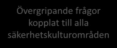 Övergripande frågor kopplat till alla säkerhetskulturområden Rapportering Rättvis Lärande Säkerhetsengagemang Kommunikation Resurser/kompetens Systematiskt arbete TS modell för säkerhetskultur 1.