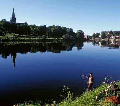 Det är vår vision och det finns både kraft och mod att förverkliga idéer i Trollhättan. I Trollhättan är närhet en möjlighet.