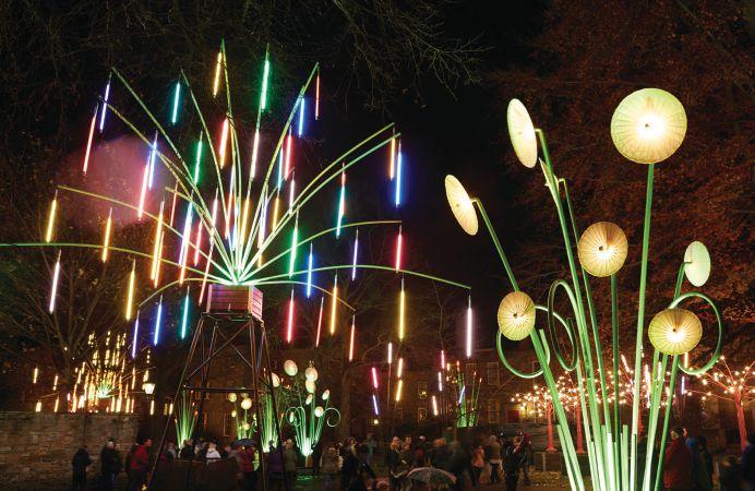 REPORT Garden of Light designed by the French collective TILT, was on display during the Durham 2015 light festival. cohesion in the places they are held.