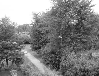 Nu startar parkskötseln Nu händer det saker i Täbys parker, grönområden och naturparker.