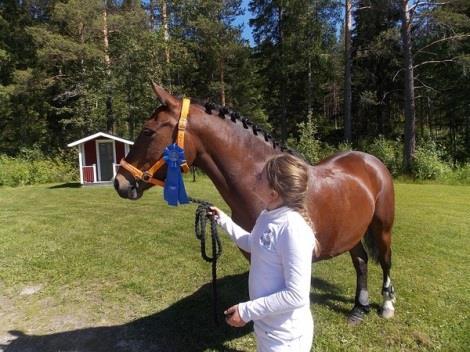 Tävlingsverksamheten Tävlingssektionen (TS) har under året bestått av: Katarina Hörnfeldt ordförande Pia Bolin vice ordförande Daniel Nordfjell/Eva Lindström grenledare dressyr Linda Hedman/ T.