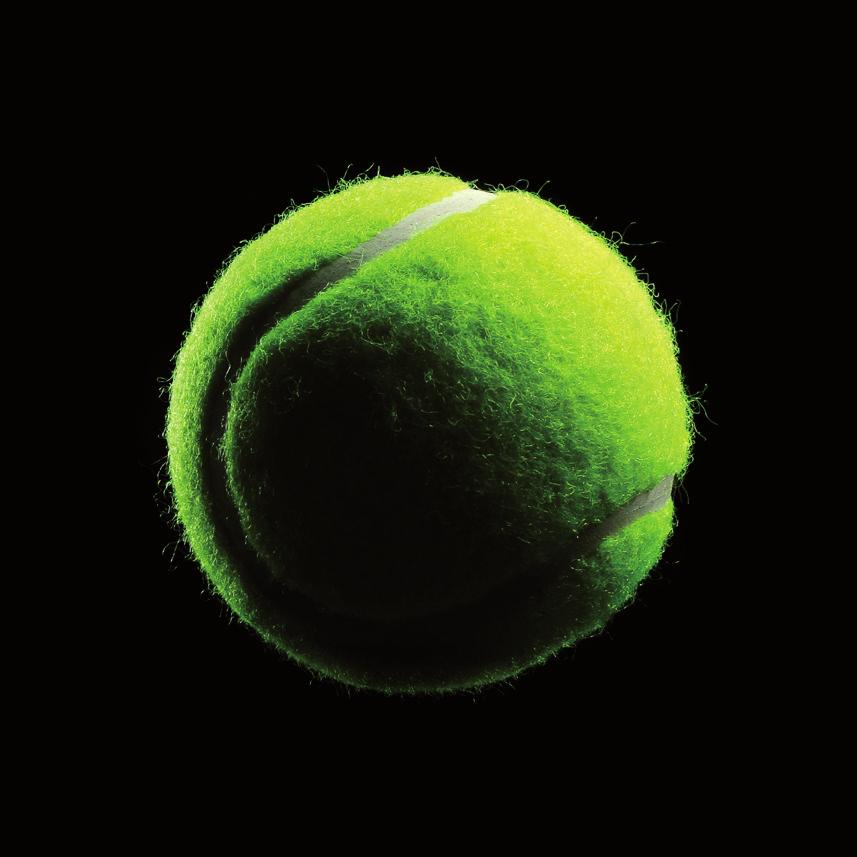 SPELARTRUPPEN 2015 DAMER: Johanna Larsson Sofia Arvidsson Eveliina Virtanen Mari Andersson Fredrikke Svarre Olga Helmi Karina Jacobsgaard Viktoria Björk Andrea
