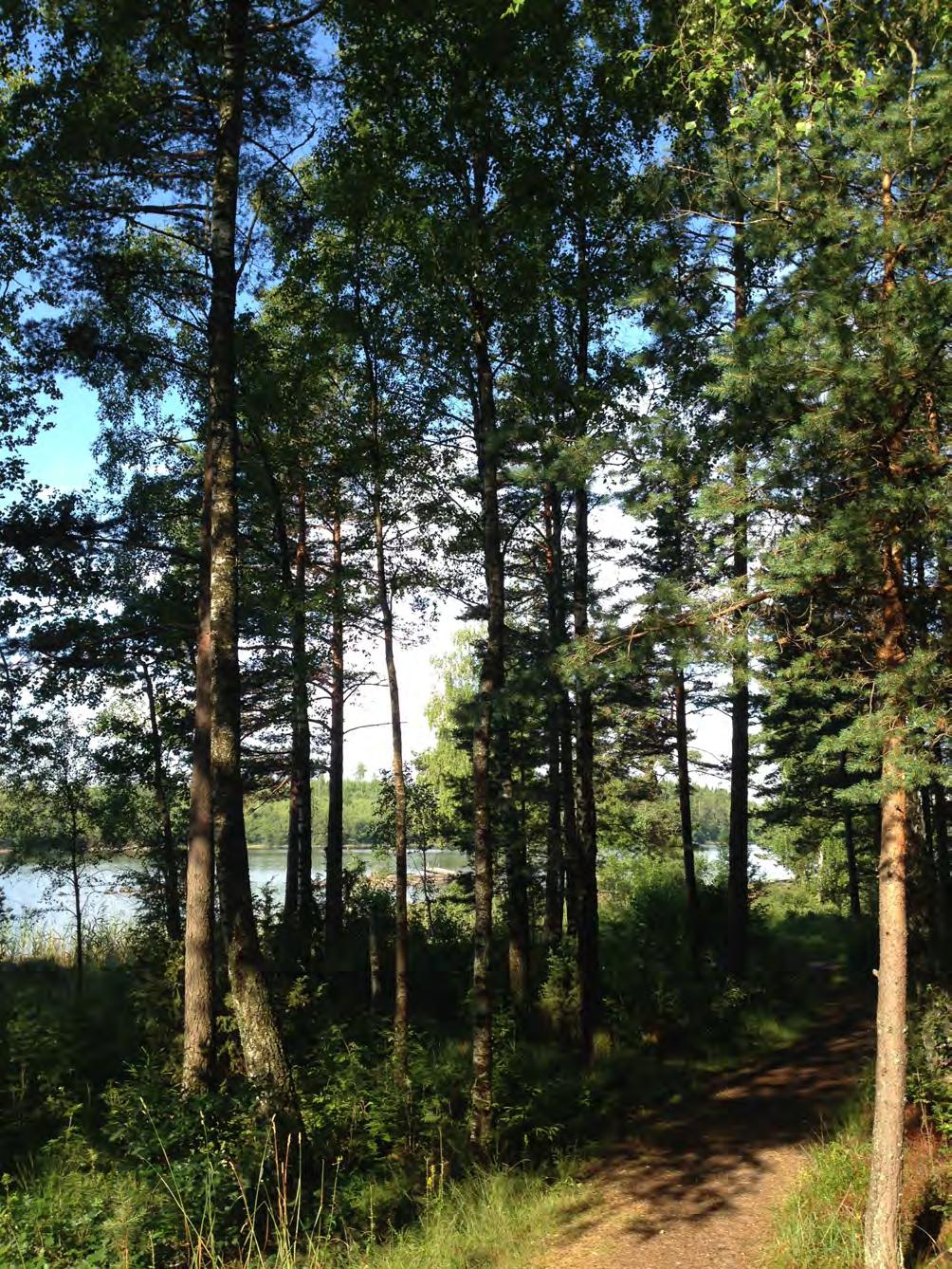 Tillägg till ÖP -06 Landsbygdsutveckling i strandnära läge - Utställningsutlåtande 2 Postadress: 447 80 Vårgårda