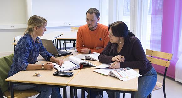 Kollegialt lärande analyserar och utvärderar diskuterar