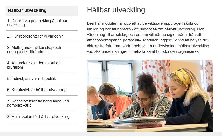 Innehåll i modulen