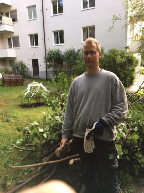 Samtidigt rensar Erik Linder efter ett nedblåst träd i Skogsparken, belägen bakom Bordsvägen 50-52.