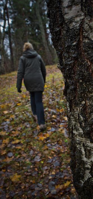 Folkhälsa och jämlik hälsa Hälsoklyftor ska minskas Brister i