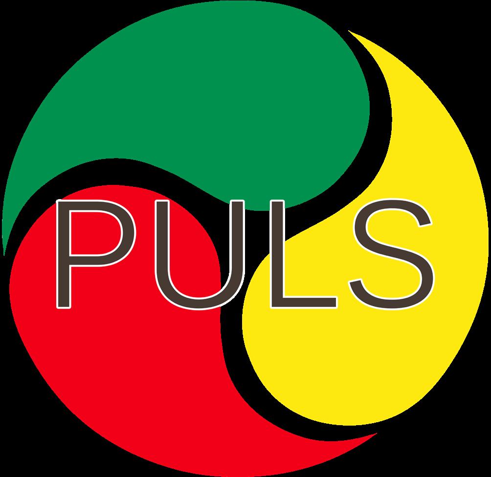 PULS = Personalvetar Utbildningen i Linköping Sektion PULS är en ideell förening som finns till sina medlemmar, d.v.s. ni studenter som pluggar kandidatoch masterprogrammet i Human Resources och beteendevetenskaplig grundkurs.