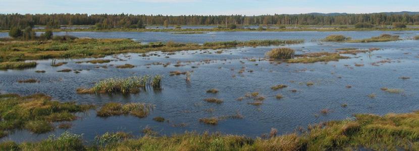 Efterbehandlad torvtäkt som blivit ny våtmark Torvbruket är centralt för att nå klimatpolitiska handlingsplanens mål I höst ska regeringen lämna den första klimatpolitiska handlingsplanen till