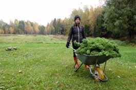 Under den korta men sköna sommartiden söker vi oss gärna ut i naturen, njuter av ängsblommor, vågskvalp, sol och skogsdoft och många sköter gärna sina blomstrande trädgårdar.