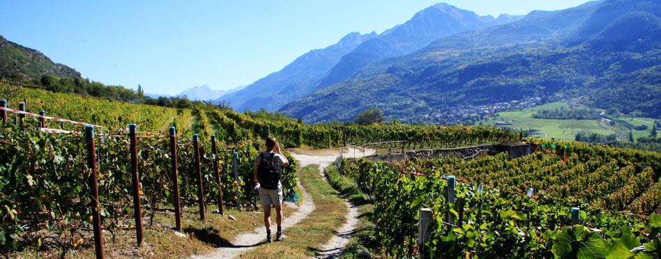 Via Francigena, Bourg Saint Pierre Pont San Martin, 8 nätter 1(9) Vandra i Italien Via Francigena, 8 nätter Bourg Saint Pierre Pont San Martin, 7 vandringsdagar Den välmarkerade första biten av Via