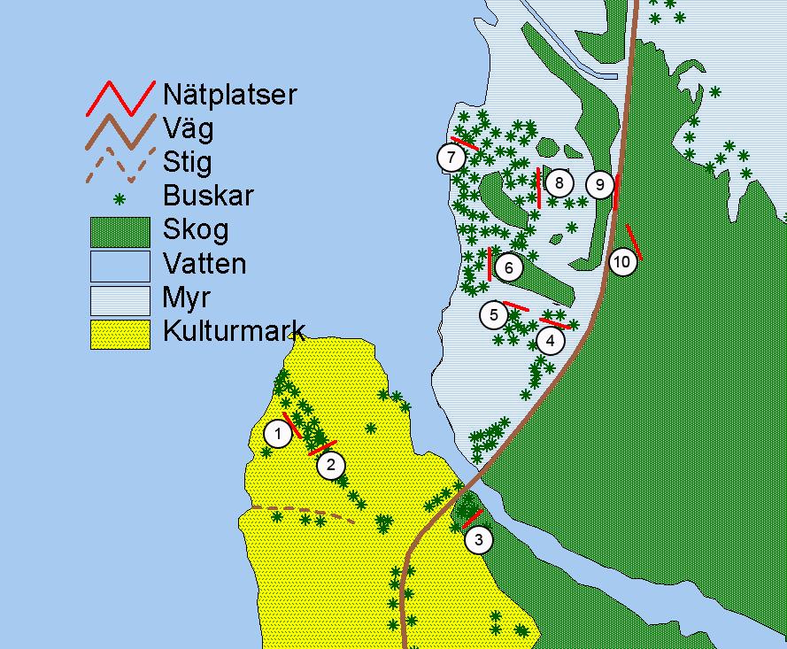 Bakgrund CES (Constant Effort Sites) är en standardiserad ringmärkningsmetod som använts i Sverige under 10 år.