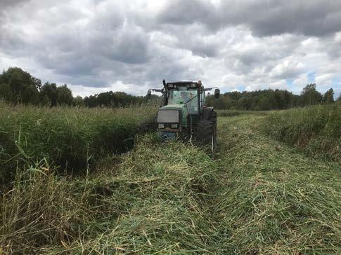 Skörd på fastmark i Blekinge 2018 (Foto