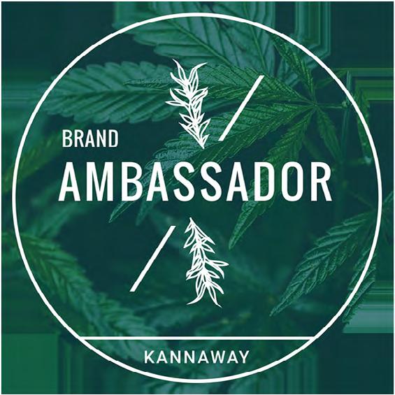 Kompensationsplan 2019 21 Brand Ambassador (BA) Krav Betala den obligatoriska årsavgiften på $ 54,98 / 47,80 Generera minst 28 PV per månad Brand Am Kan tjäna 3 for free Faststart 3000-provision