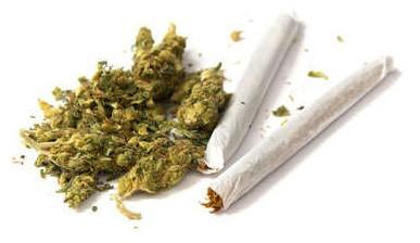 Olika droger från cannabis Marijuana Hasch