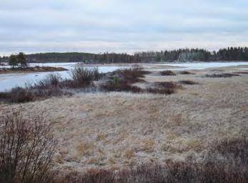 Områdesskydd För mark- och vattenområden med höga natur- eller kulturmiljövärden, av betydelse för friluftslivet, samt fysisk miljö i övrigt, gäller att dessa så långt som möjligt skall skyddas mot